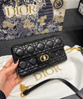 Dior Jolie WOC 21*12cm
